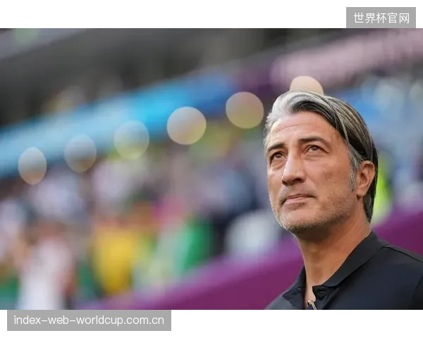 主帅雅金战术延续性获认可，瑞士队将以防守反击为基石备战世界杯。